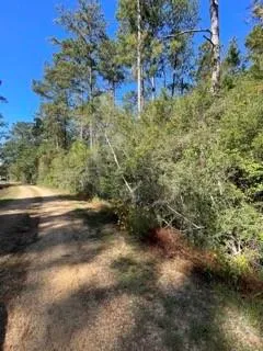 $96,000 | 40253 Nicole Elizabeth Drive, Franklinton, LA 70438