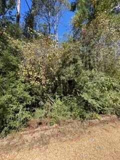 $96,000 | 40253 Nicole Elizabeth Drive, Franklinton, LA 70438