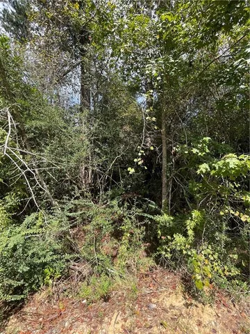 $96,000 | 40253 Nicole Elizabeth Drive, Franklinton, LA 70438