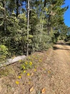 $96,000 | 40253 Nicole Elizabeth Drive, Franklinton, LA 70438