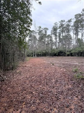 $96,000 | 40253 Nicole Elizabeth Drive, Franklinton, LA 70438