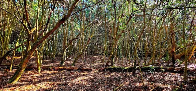 $96,000 | 40253 Nicole Elizabeth Drive, Franklinton, LA 70438