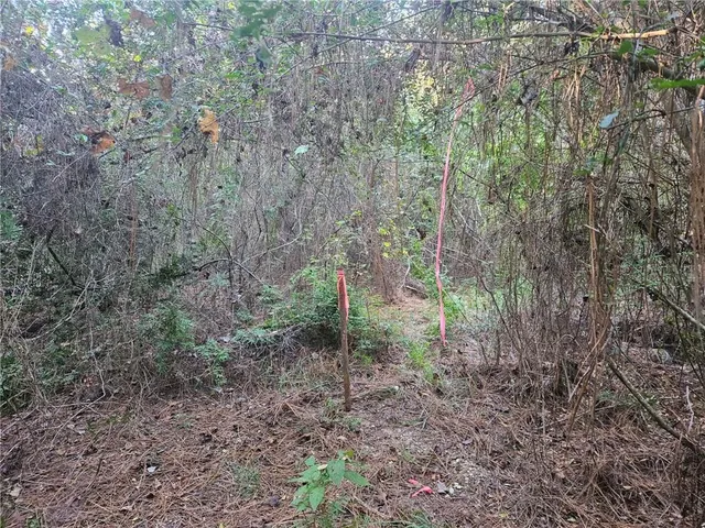 $96,000 | 40253 Nicole Elizabeth Drive, Franklinton, LA 70438