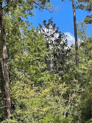 $96,000 | 40253 Nicole Elizabeth Drive, Franklinton, LA 70438