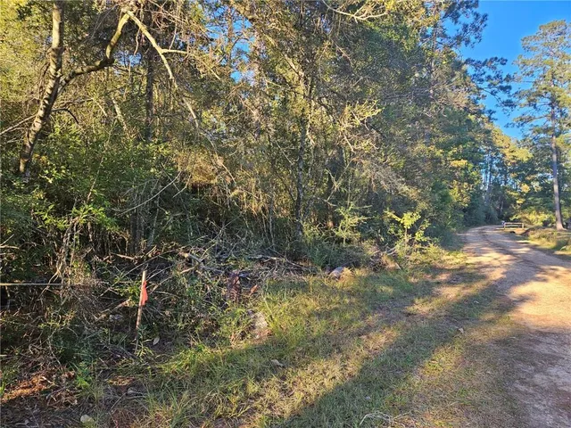 $96,000 | 40253 Nicole Elizabeth Drive, Franklinton, LA 70438