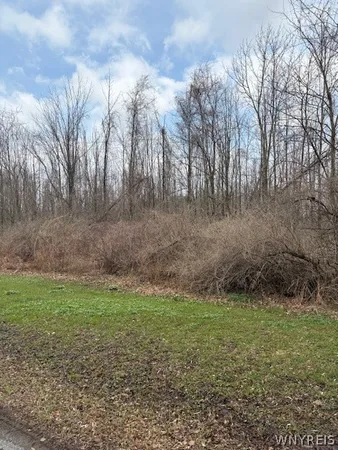 $41,000 | 0 McVean Road, Northville, NY 12134