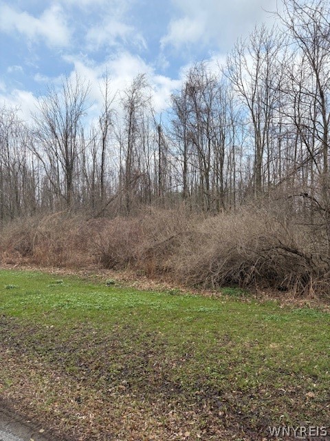 0 McVean Road Northville, NY 12134 - Photo 2 of 3