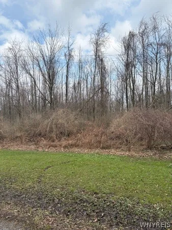 $41,000 | 0 McVean Road, Northville, NY 12134