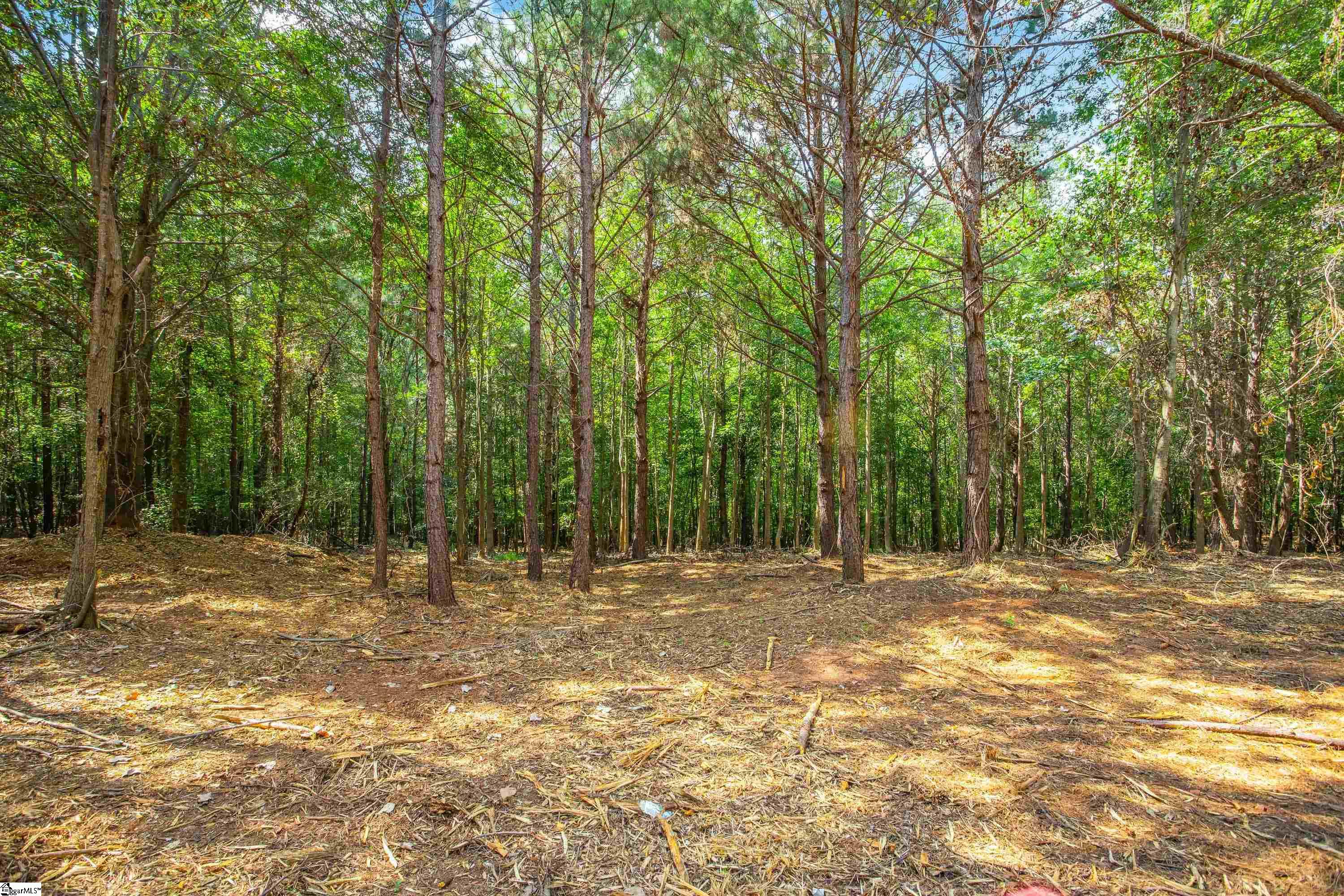 0 Goldmine Road, Unit LOT #6 Spartanburg, SC 29302 - Photo 13 of 17