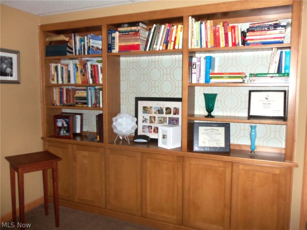 17506 Madison Road Middlefield, OH 44062 - Photo 24 of 35 Lower level built-ins