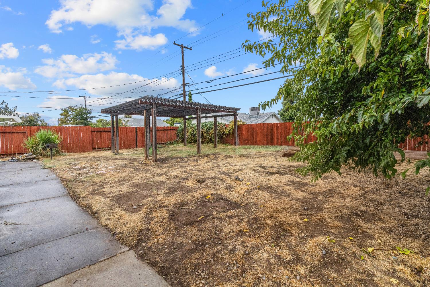 3319 U Street Antelope, CA 95843 - Photo 12 of 14 a large tree with an outdoor space