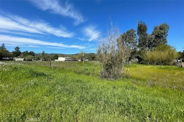 a view of a big yard with a large tree and a yard
