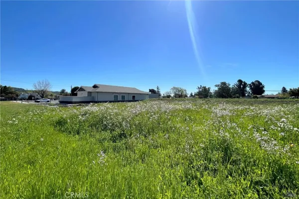 a view of a lush green space