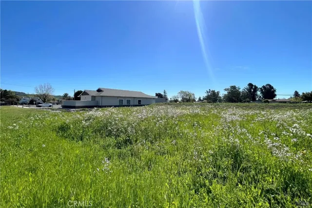 a view of a lush green space