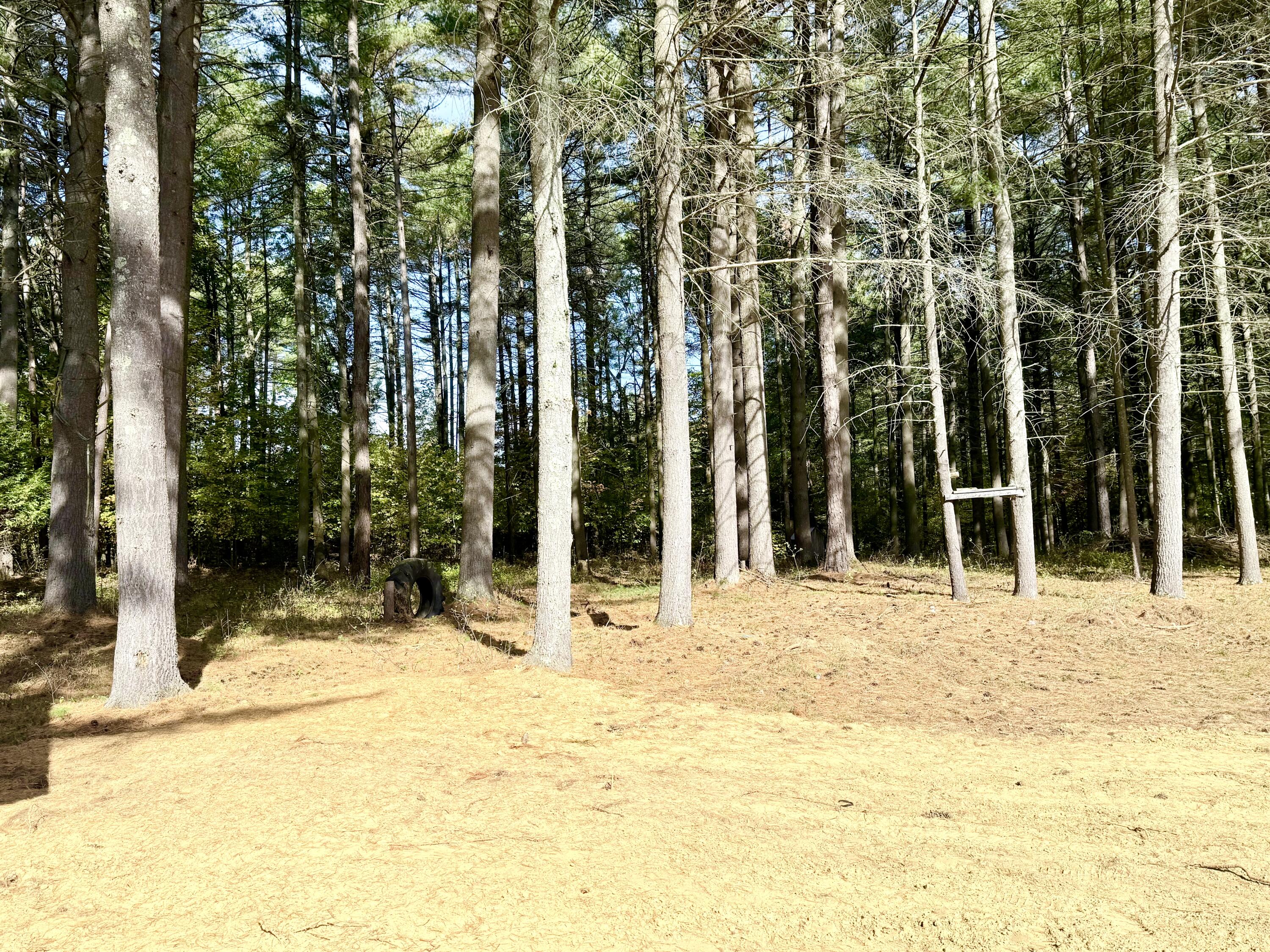 288 Giddings Road Peru, NY 12972 - Photo 15 of 20 Land