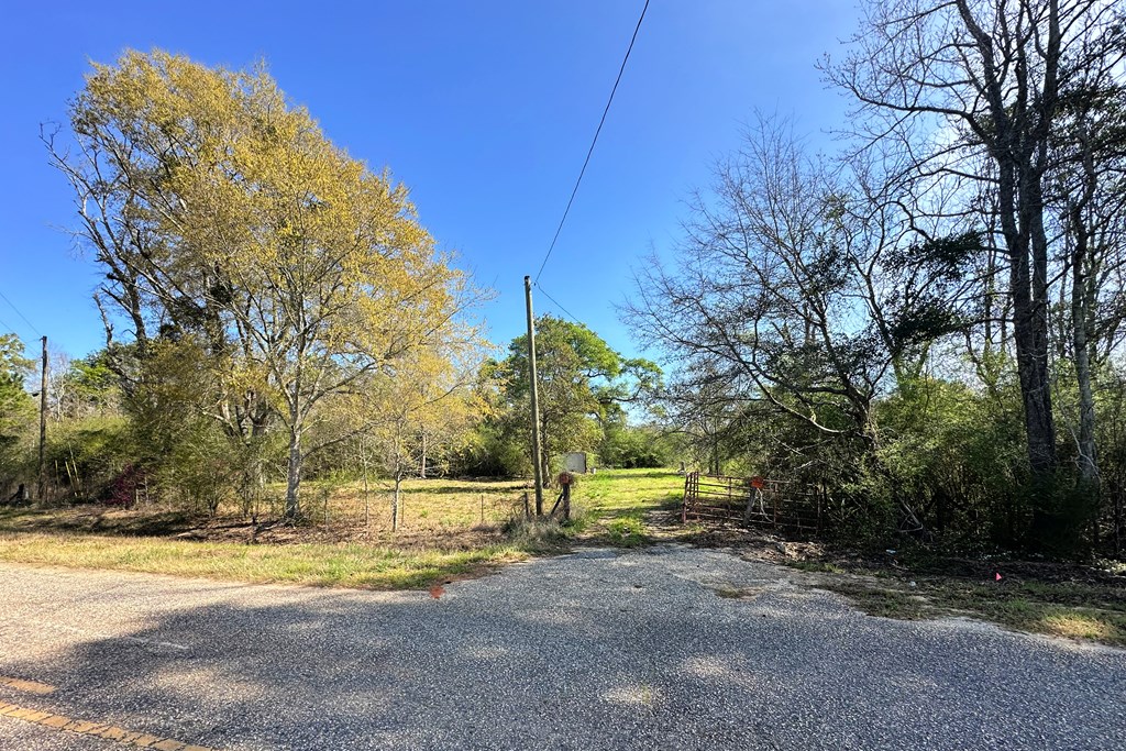 0 Lonnie Road Slocomb, AL 36375 - Photo 3 of 7