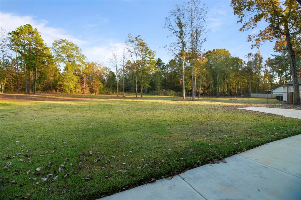 800 Stone Chimney Road Bullard, TX 75757 - Photo 37 of 40 a view of outdoor space with trees all around