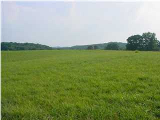 0 Sam Smith Road, Unit 4 5 6 Birchwood, TN 37308 - Photo 1 of 3 Primary Photo