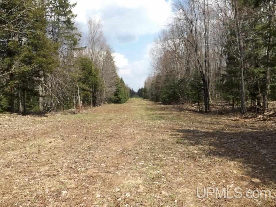 Tbd Forest Rd 180 Wakefield, MI 49968 - Photo 6 of 15