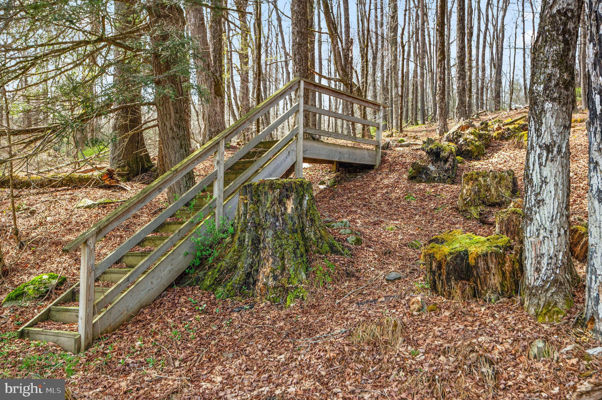 133 Wynooska Road Greentown, PA 18426 - Photo 28 of 39