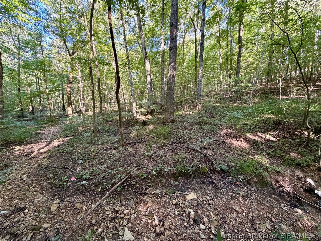 South Big Springs Road Pekin, IN 47165 - Photo 10 of 24 Gallery Image 10
