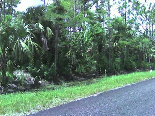 A-51 W North A-51 W N 167th Road Jupiter, FL 33478 - Photo 2 of 2 Additional Photo