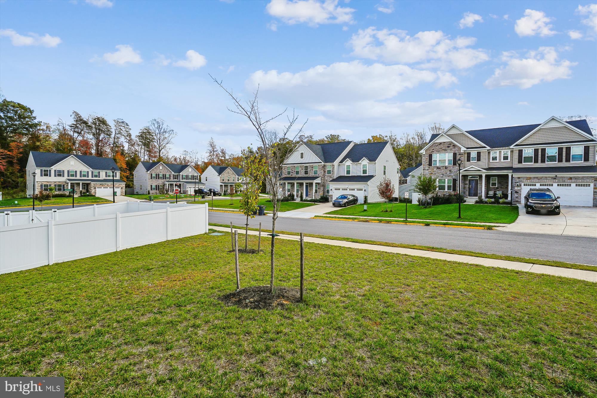 105 Driscoll Lane Stafford, VA 22554 - Photo 62 of 69 a view of an house with backyard and a tree