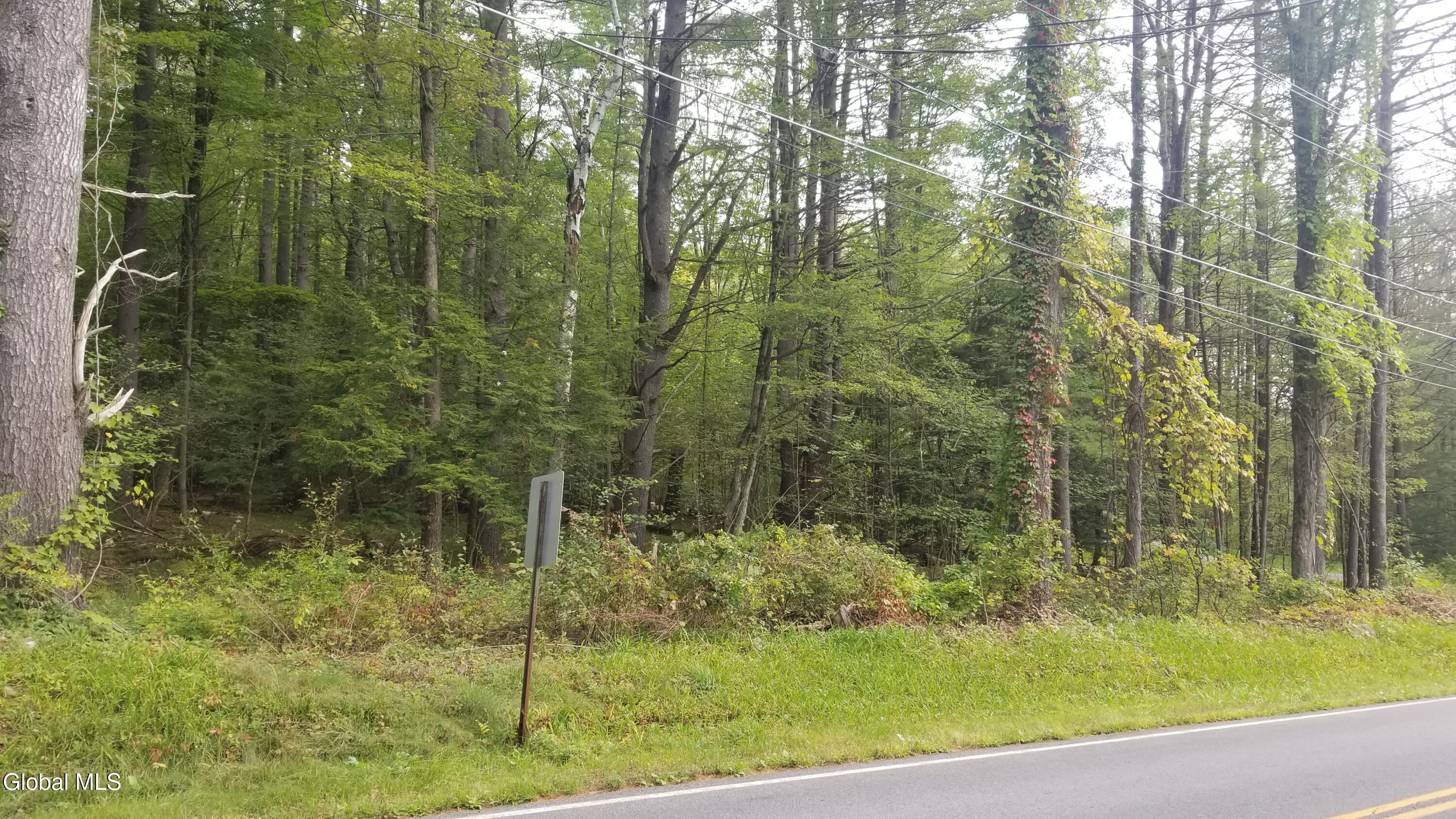 353 Flat Rock Road, Unit LOT 3 Lake George, NY 12845 - Photo 2 of 6 2) 73440-6a3c13d5d9e7e