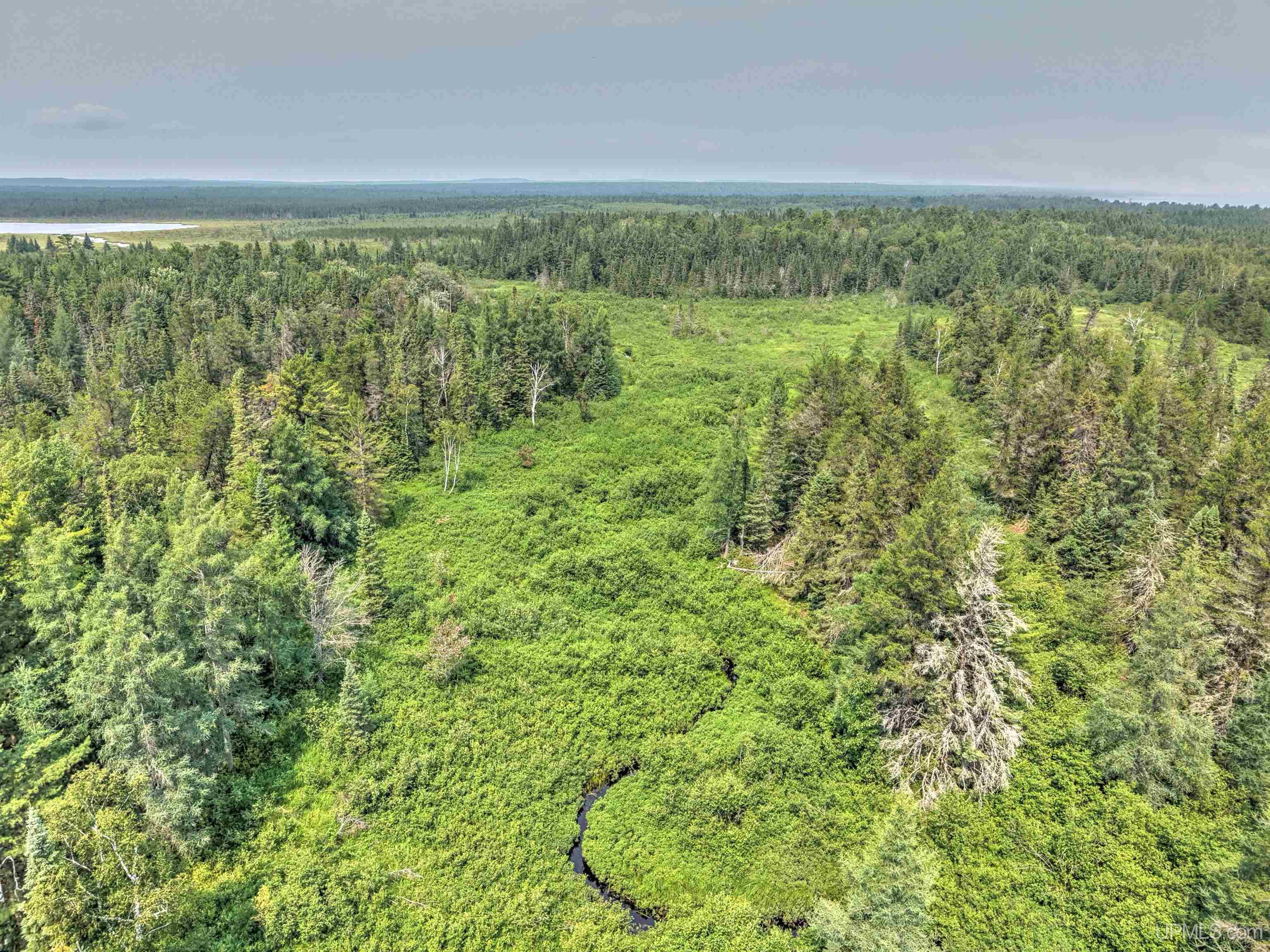 Tbd Near Rice Lake & Big Traverse Bay Rds Road Lake Linden, MI 49945 - Photo 13 of 17 Gallery Image 13