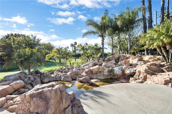 a view of a tree with a park