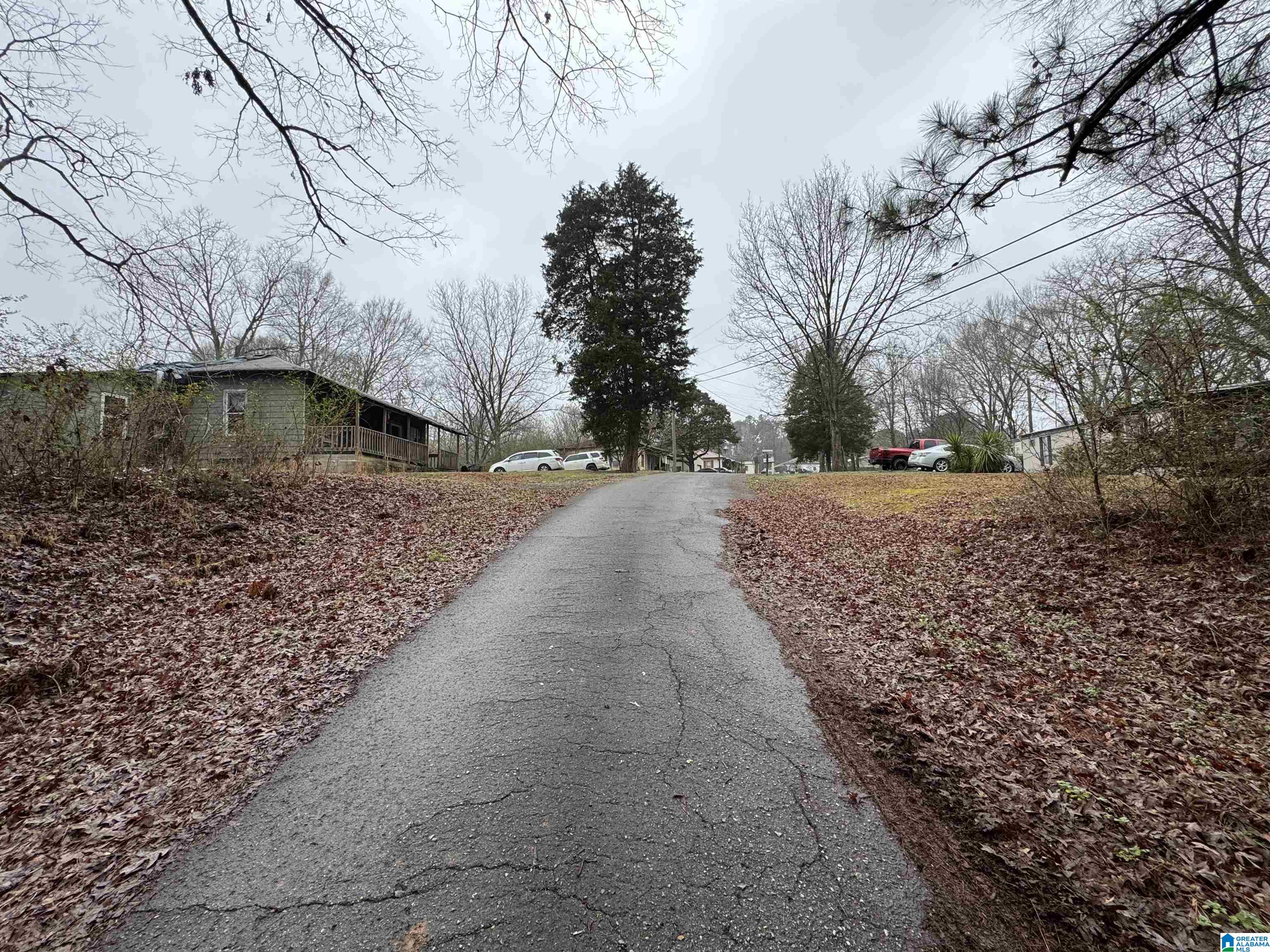 155 Rae Street Odenville, AL 35120 - Photo 4 of 28 Gallery Image 4