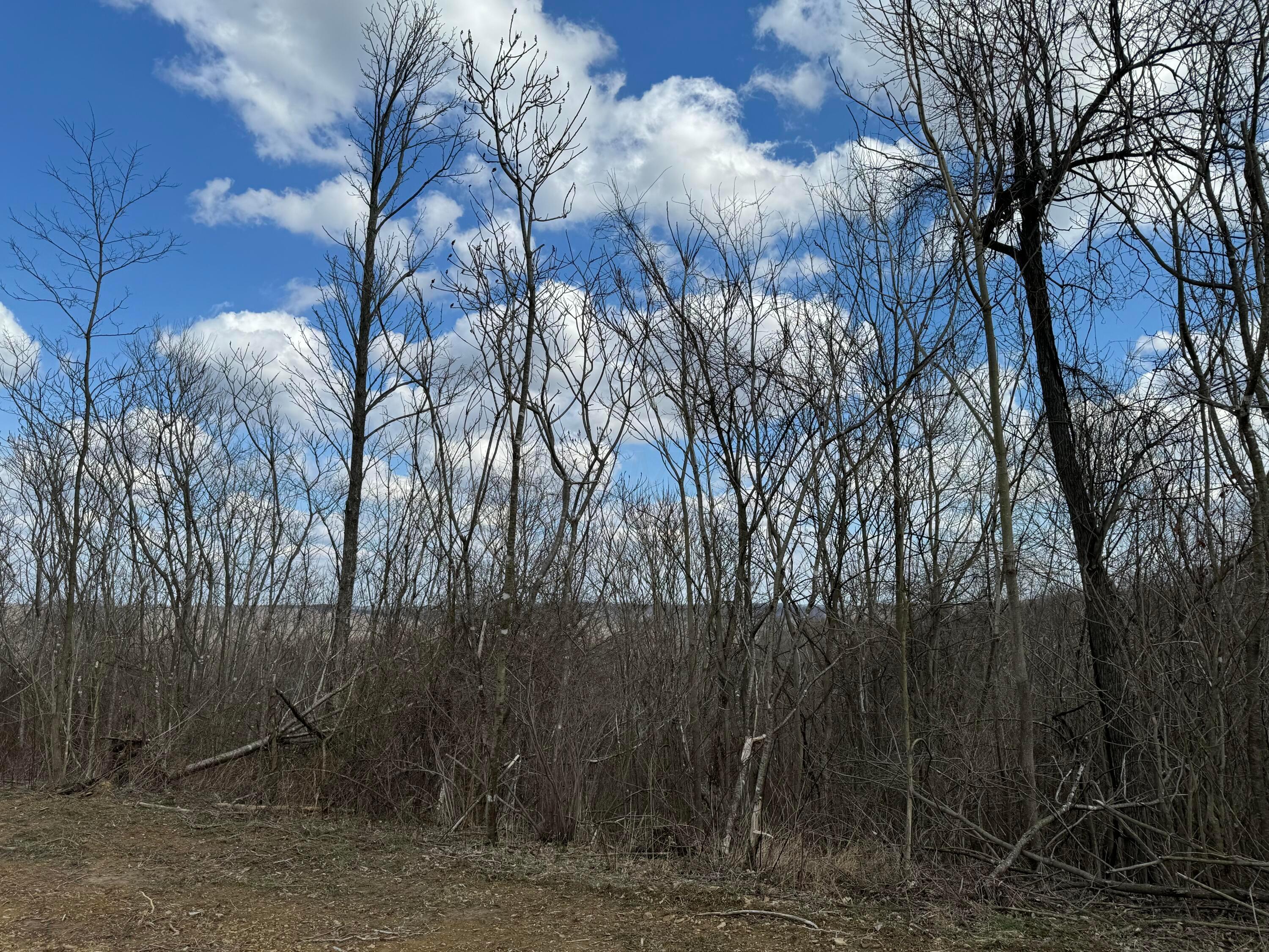0 Flint Ridge Road Northeast, Unit INT RIDGE TRACT 22 ACRE) Crooksville, OH 43731 - Photo 28 of 48 20240304_190809632_iOS