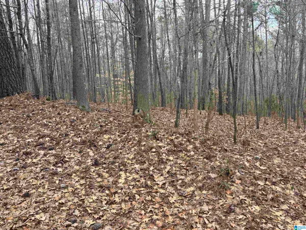$49,900 | 6901 Sellers Road, Dora, AL 35062