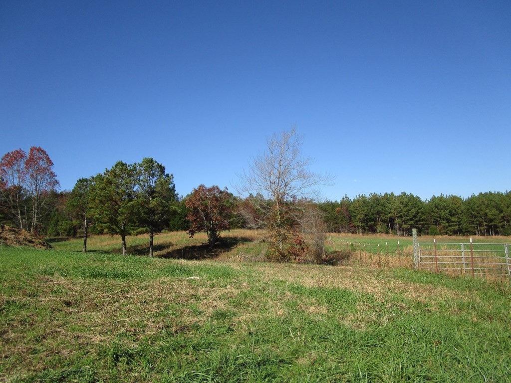 0 Hwy 163 Riceville Tn 37370 Riceville, TN 37370 - Photo 2 of 11
