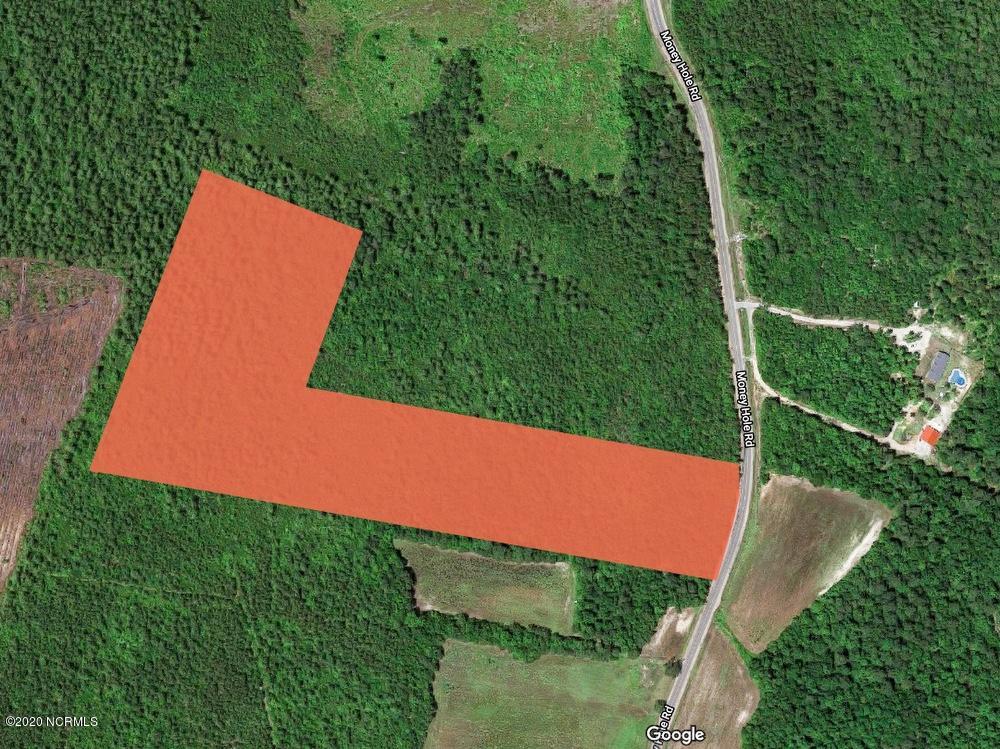 20.2-ac Money Hole Road Riegelwood, NC 28456 - Photo 4 of 7 4 mhr 20 a