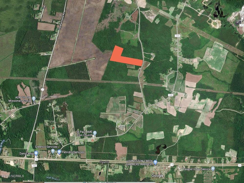 20.2-ac Money Hole Road Riegelwood, NC 28456 - Photo 6 of 7 6 mhr 20a
