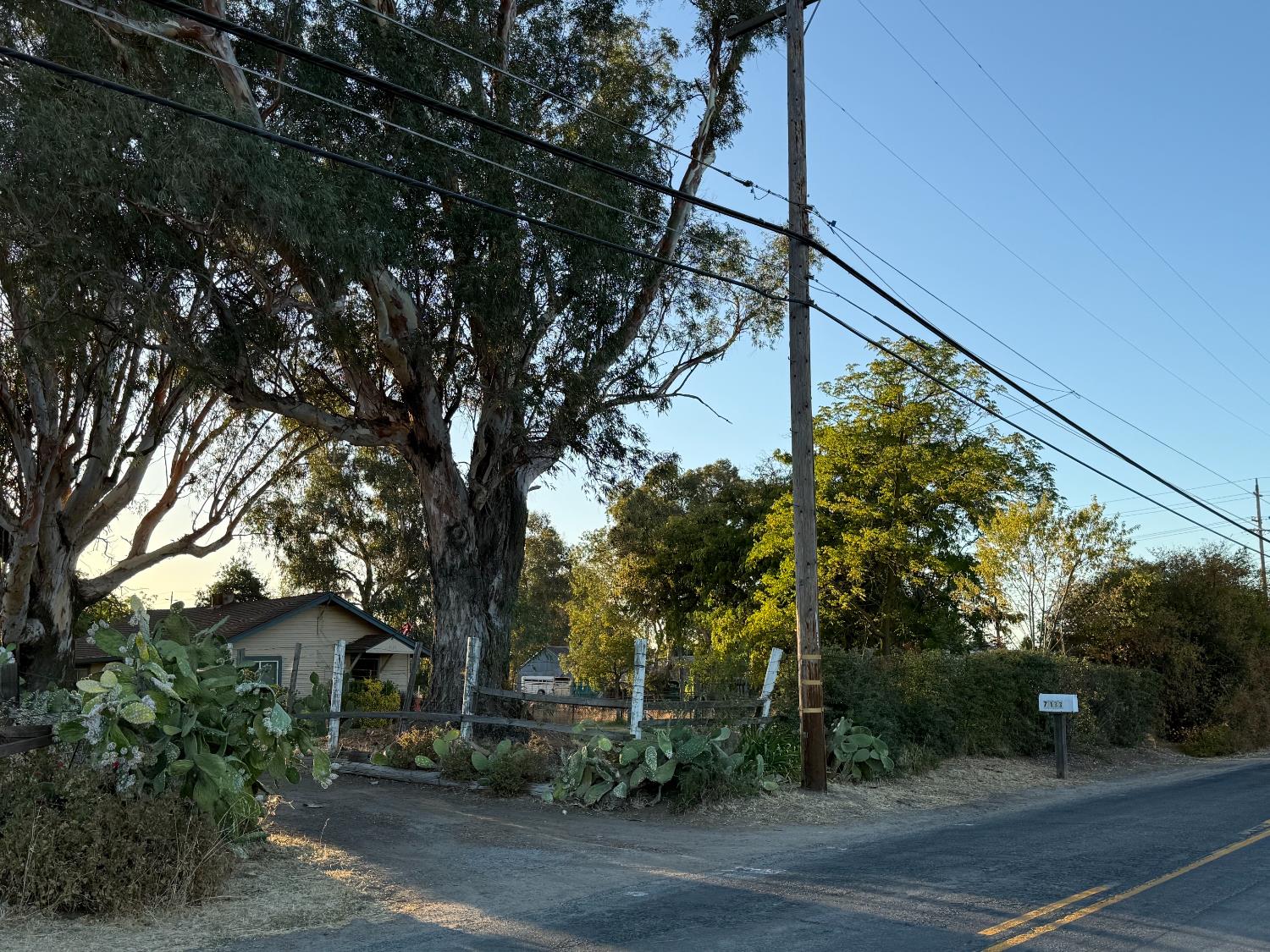 7133 West 2nd Street Rio Linda, CA 95673 - Photo 3 of 63 a view of street along with trees