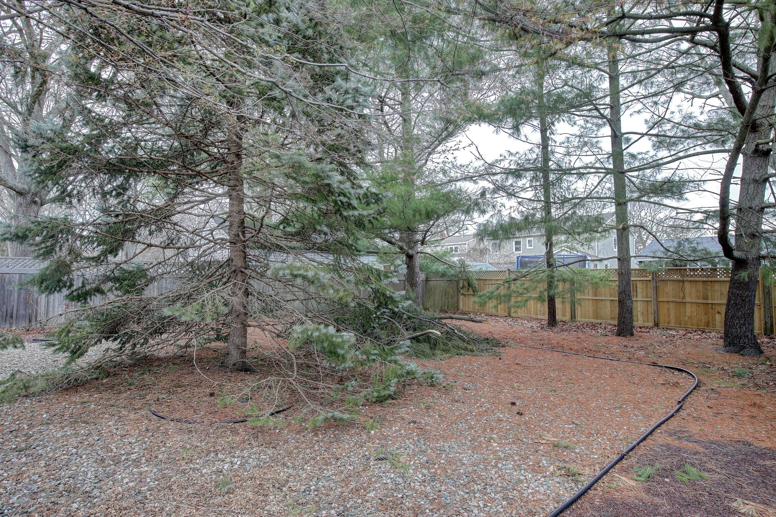 612 Butler Avenue Point Pleasant, NJ 08742 - Photo 28 of 28 028_Backyard