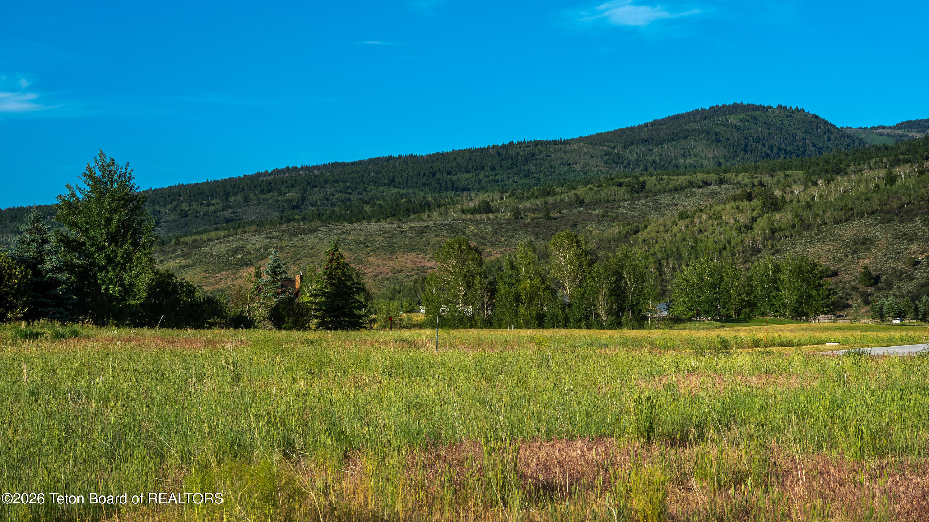 603 Royal Elk Circle Victor, ID 83455 - Photo 4 of 10 _DSF0541