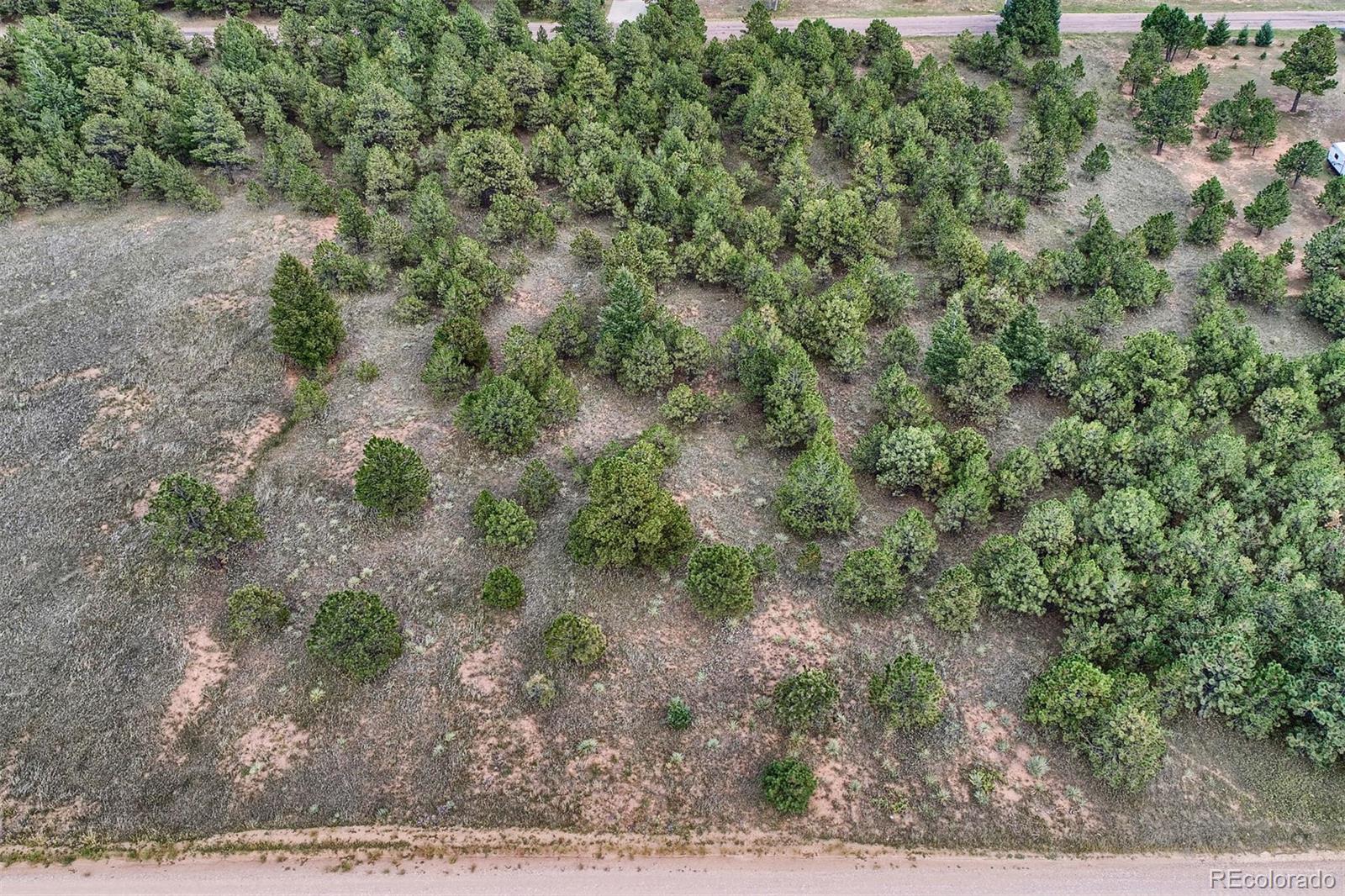 Lot 12 Forest View Road Monument, CO 80132 - Photo 3 of 13