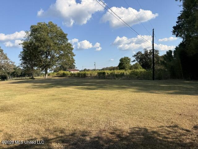 119 Goodhope Road Lake, MS 39092 - Photo 10 of 28 IMG_9016