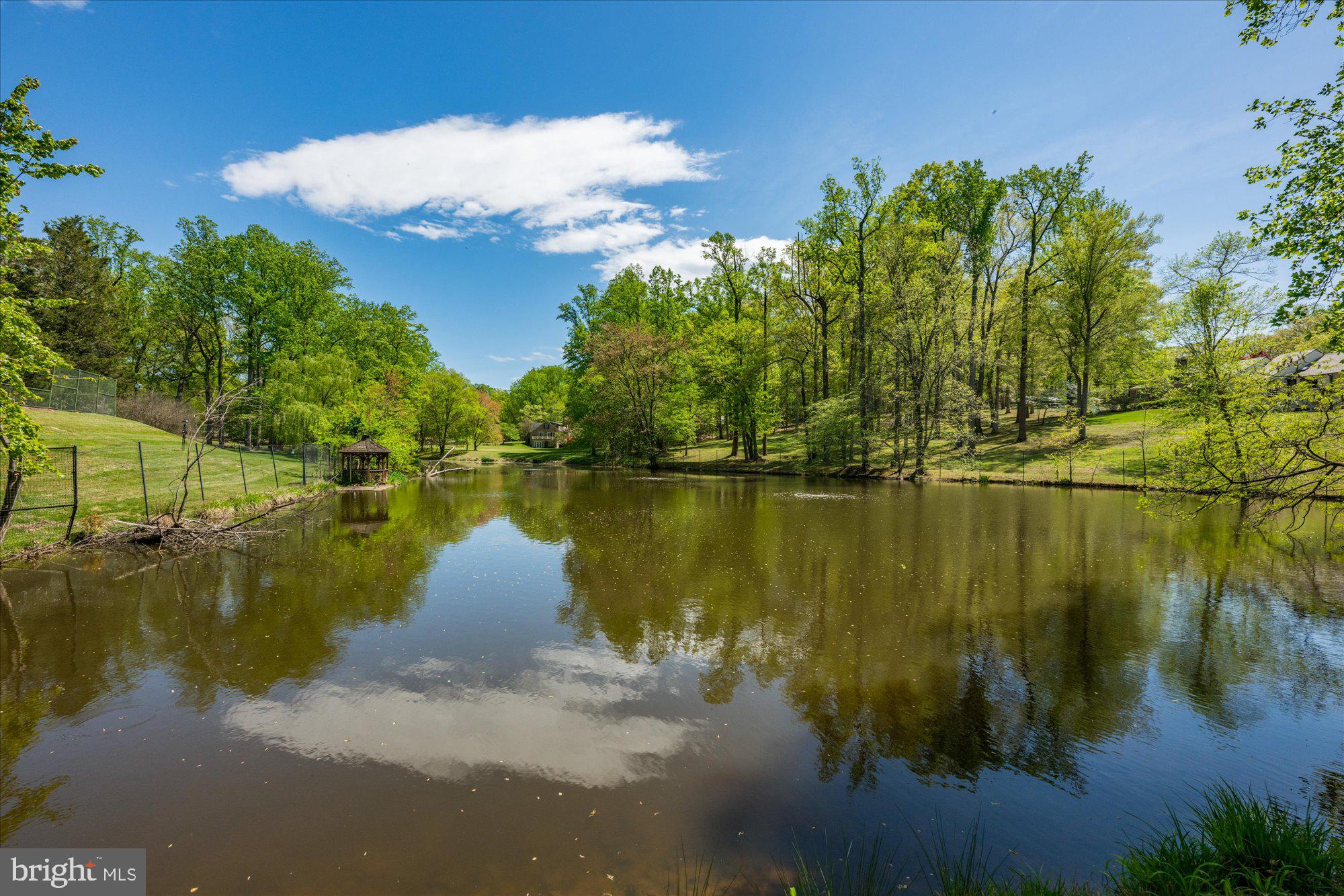 11304 Skipwith Lane Potomac, MD 20854 - Photo 34 of 69 Serene waters reflect lush greenery.
