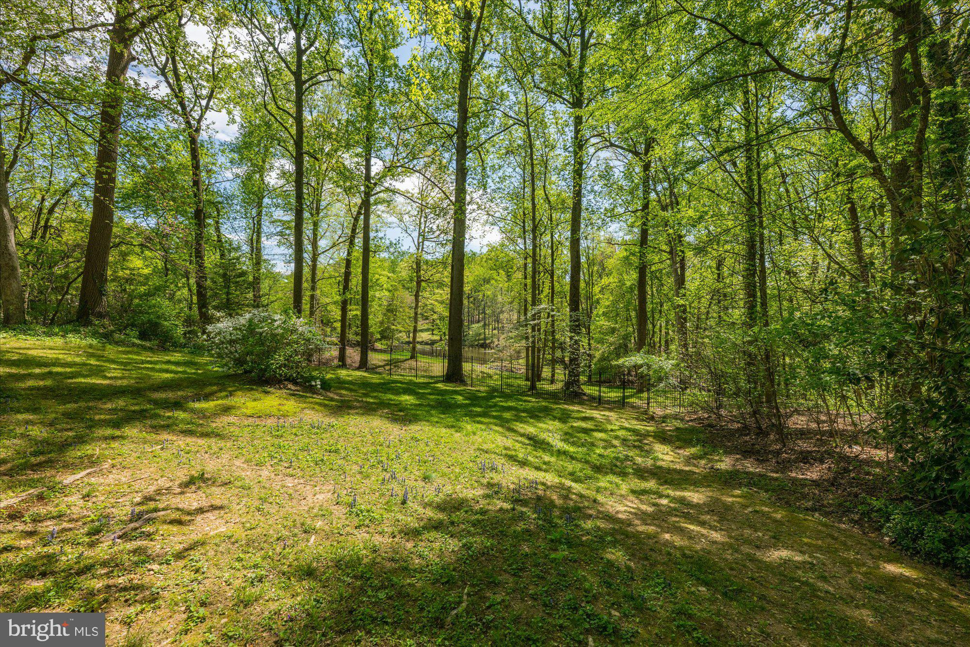 11304 Skipwith Lane Potomac, MD 20854 - Photo 54 of 69