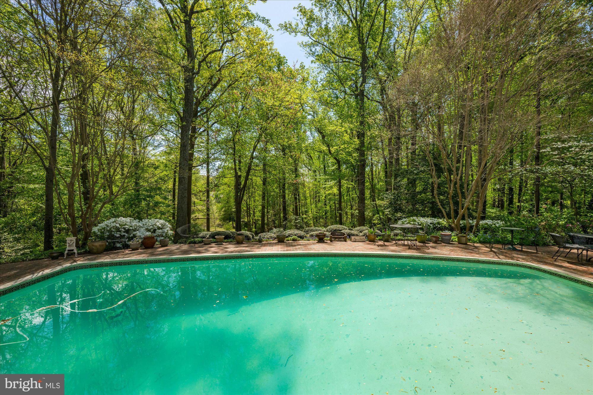 11304 Skipwith Lane Potomac, MD 20854 - Photo 59 of 69