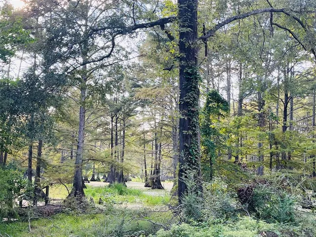 a view of outdoor space and yard