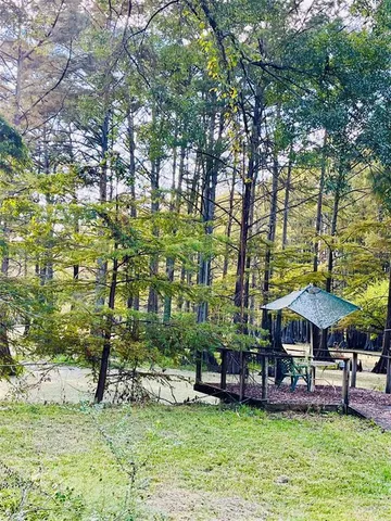a view of a park with large trees