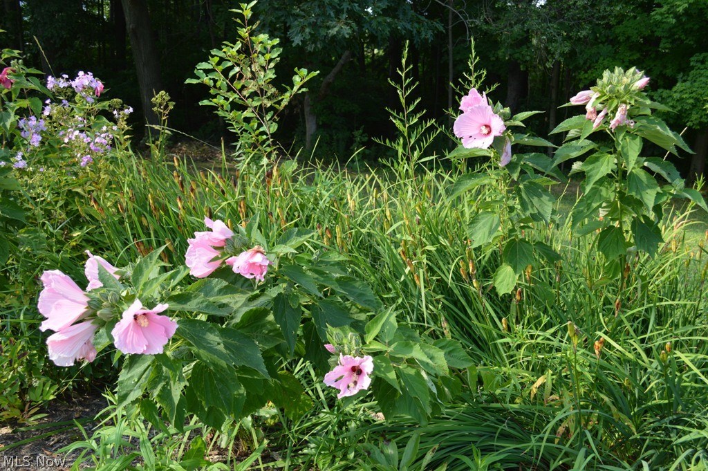 8711 Diagonal Road Streetsboro, OH 44241 - Photo 28 of 30 Lovely gardens