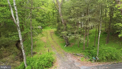 a view of a garden