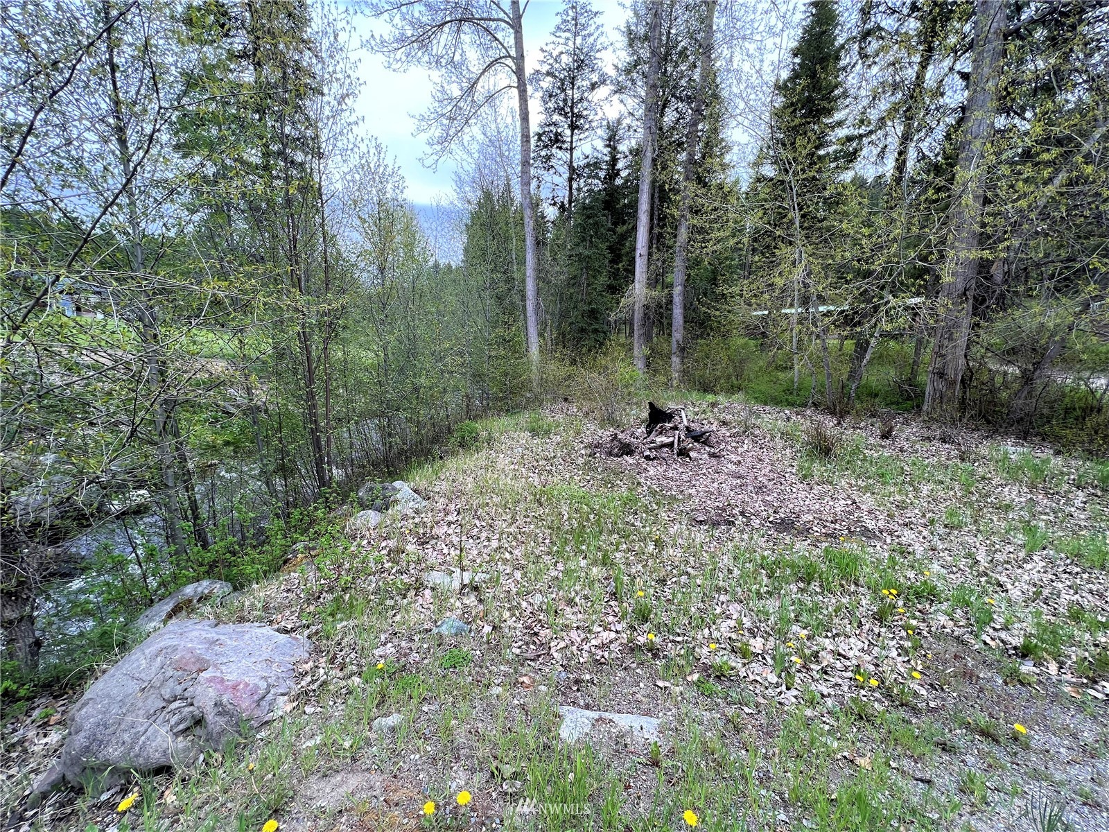2 Hidden Falls Spur Road Republic, WA 99166 - Photo 4 of 26 a big yard with lots of green space and deers