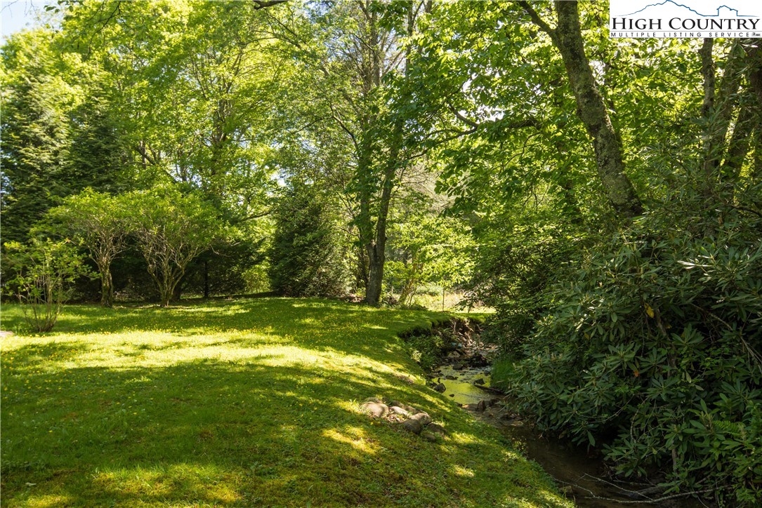 719 Ransom Street Blowing Rock, NC 28605 - Photo 40 of 43 Gallery Image 40